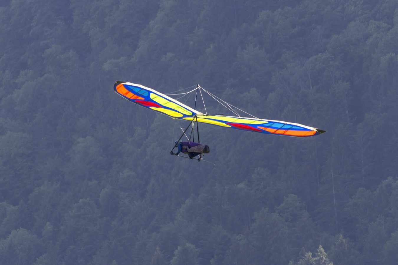 Modernes Thermikdummy im Anflug